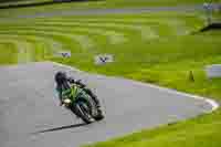 Lower Group Green Bikes